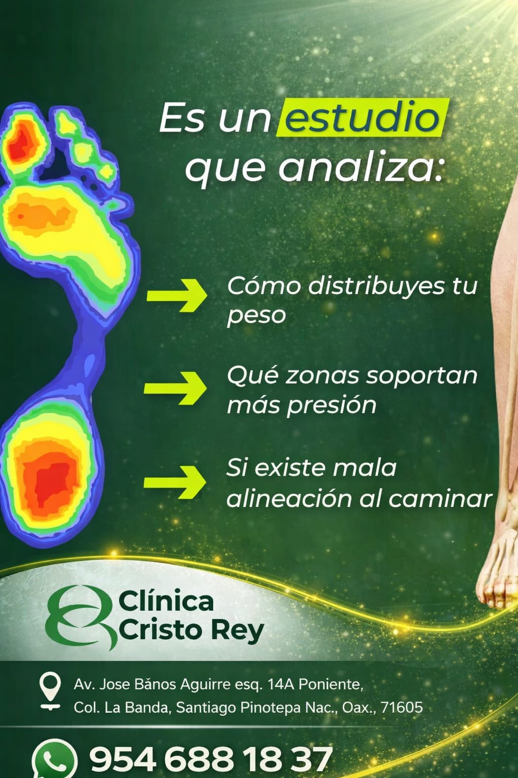 Baropodometría: información 3